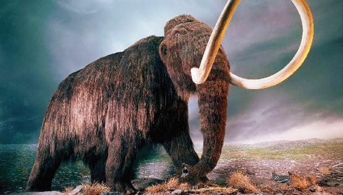 باحثون: هشاشة العظام سبب انقراض “الماموث”