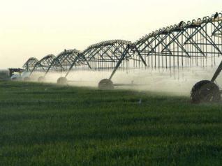 الزراعة: مصر والسودان تتفقان علي إنشاء مزرعة بحثية نموذجية