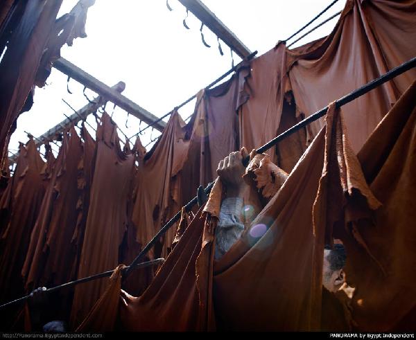 بدءالمرحلة الأولى لنقل المدابغ للروبيكى والإنتهاءخلال 3سنوات