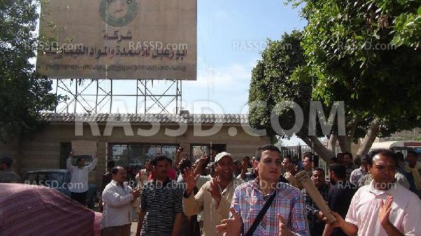 إضراب عمال أبوزعبل للأسمدة للمطالبة بحقوقهم المادية