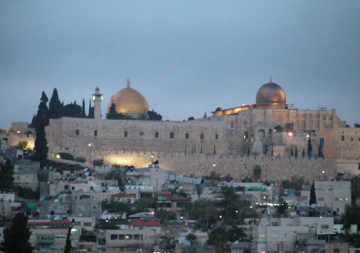 السابع من يونيو المسيرة العالمية إلى القدس(ًصور)