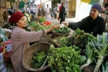 ارتفاع أسعار الخضر والأسماك المملّحة بمحافظة الدقهلية