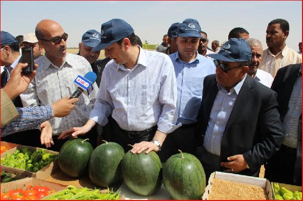 عودة:لاصحة لأي شائعات عن رفع الدعم ولا يوجد تغيير فيه
