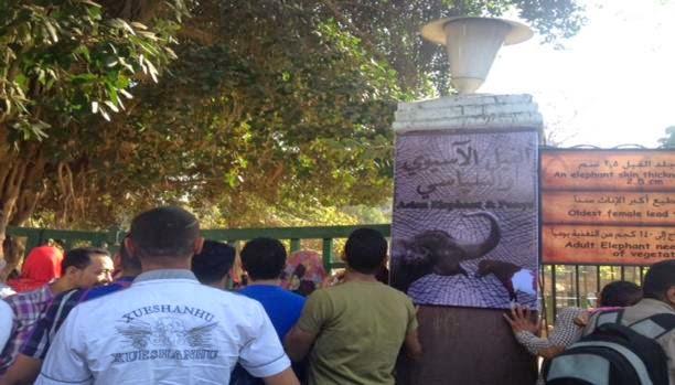 تغيير لافتة “السيسي” بحديقة الحيوان إلي “السياسي”