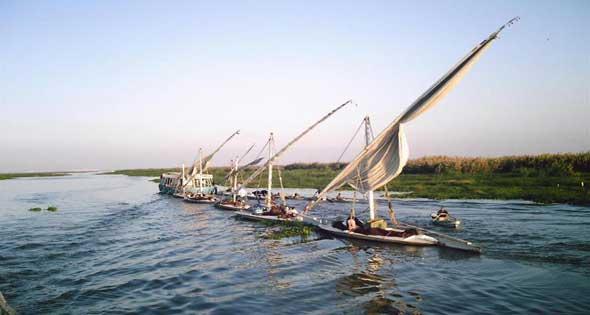 فيديو.. فساد مالي وإدارى بالمزرعة السمكية بالمنزلة دقهلية