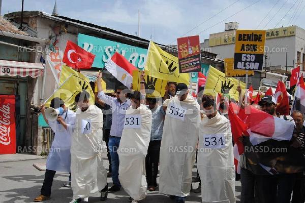 مسيرة للجالية المصرية مناهضة لحكم العسكر بتركيا