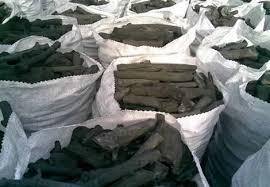 “حقوق الإنسان” بالإسكندرية ترفض قرار استيراد الفحم