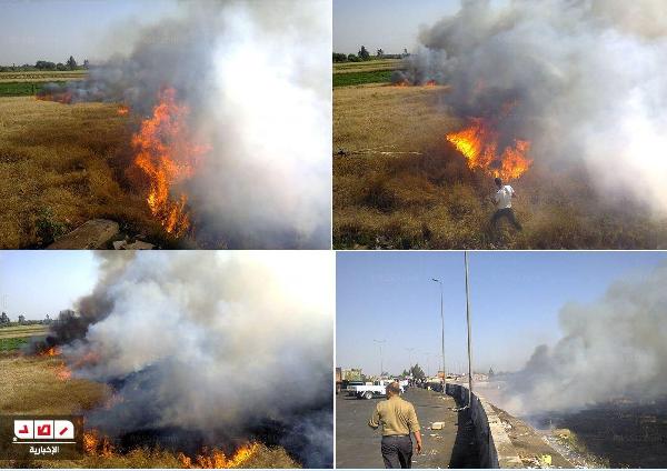 بالصور..النيران تلتهم محصول القمح بطريق الإسكندرية الزراعي