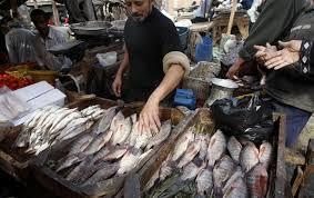 خبراء : 30% خفضا مؤقتا في أسعار الأسماك محليا