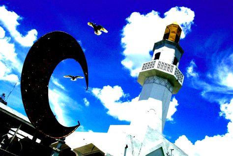 المالية:تفاؤل كبير باقرار الصكوك ونتمني وصول استثماراتها ل15مليار