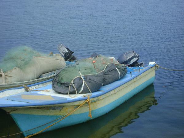 الاحتلال يفتح النار علي زوارق صيد قبالة شواطئ غزة