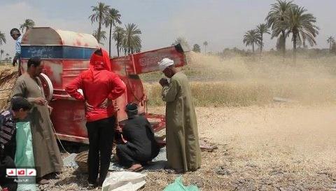 تخصيص 200 فدان بالصحراء لتجميع حاصلات زراعية بقنا