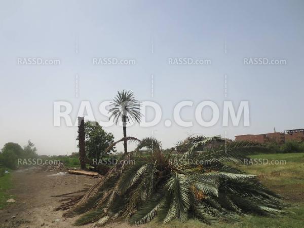 عاصفة ترابية بأسوان تسفر عن قتلى وانهيارات متعددة