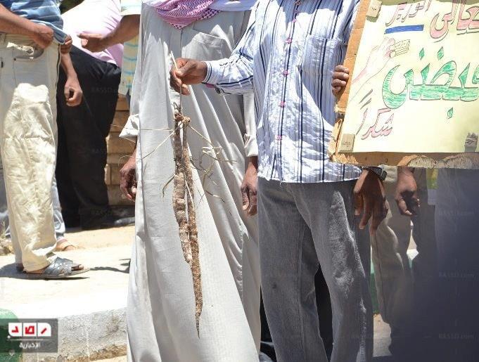 موظفو الآثار يقطعون الطريق ويهددن برفع الأفاعي والزواحف