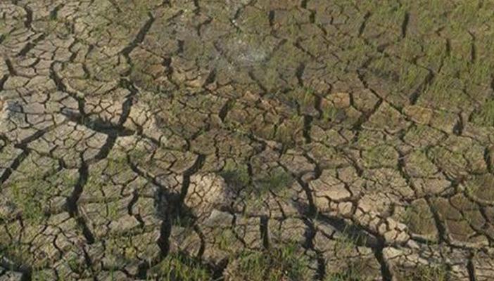 انخفاض منسوب مياه الترع يهدد ببوار آلاف الأفدنة بالمحافظات