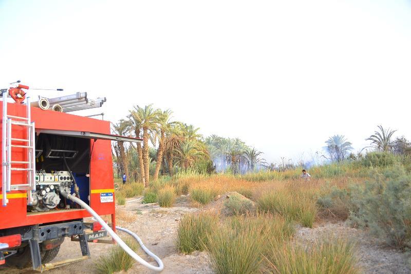 السيطرة على حريق بمزارعه النخيل بالوادي الجديد