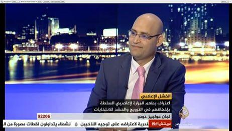 العناني: مد التصويت قرار سياسي مخالف للدستور والقانون