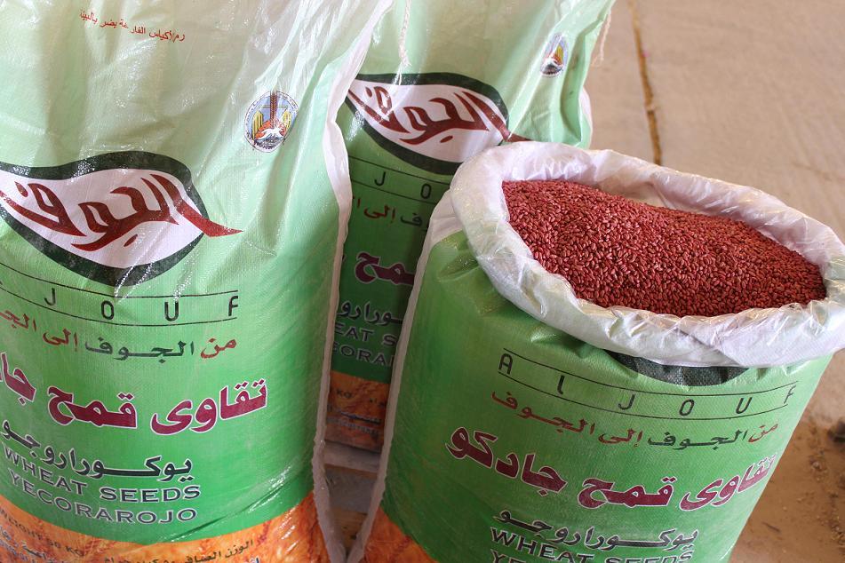 مجلس الوزراء السوداني يحظر استيراد “تقاوي” من مصر