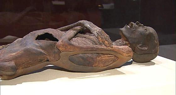 بعد تحليل مومياءات.. علماء يكشفون تغيرات المصريين خلال 1500 سنة