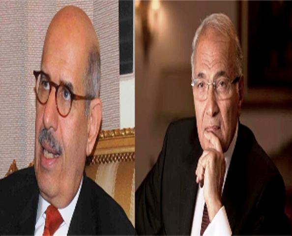 مسئولة ب”تمرد” تقترح مجلس رئاسي يضم شفيق والبرادعي والسيسي