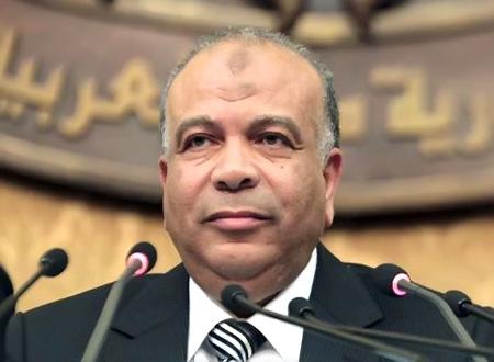 الكتاتني : ينبغي أن لا نستبعد أى خيار حول أزمة سد النهضة