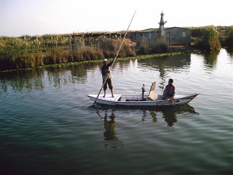 أستاذ زراعة الأزهر : تم ردم البحيرات لبناء قصور وفيلات