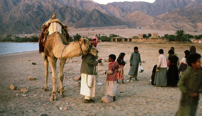 مجلة بريطانية: أبناء البدو يعانون بعد تدمير السياحة في سيناء