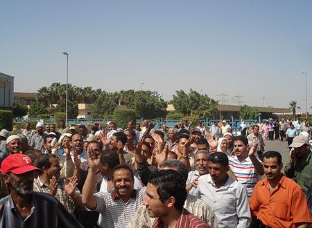 معلمو أسيوط ينهون اعتصامهم بعد تلقيهم وعود بـ”التثبيت”