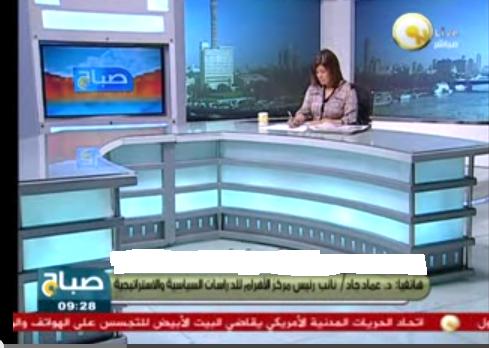 عماد جاد :القرار السياسي يتخذه الرئيس وليس الشيوخ