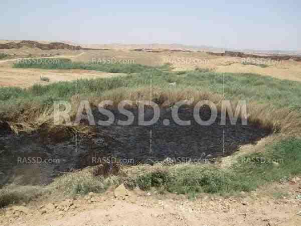 ارتفاع عدد المصابين بـ”الملاريا” فى أسوان إلى 21 حالة