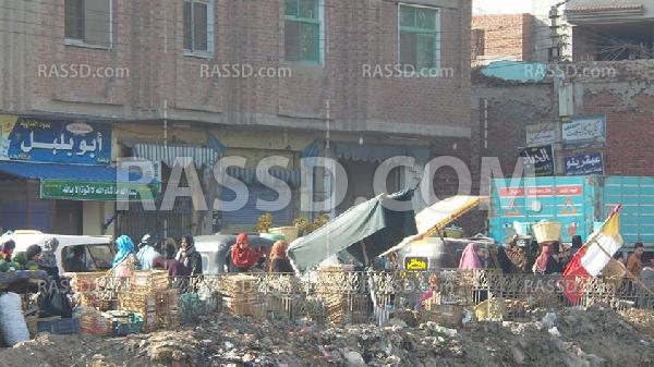 سوق الإثنين ومعاناة أهالي كفر صقر بالشرقية