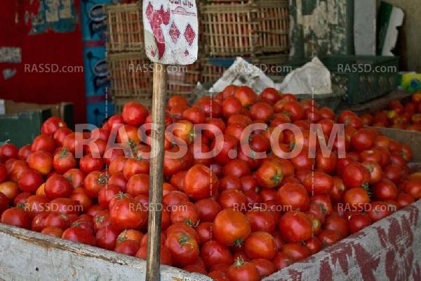 أسواق الجيزة.. ارتفاع في الأسعار وسط دهشة البائعين