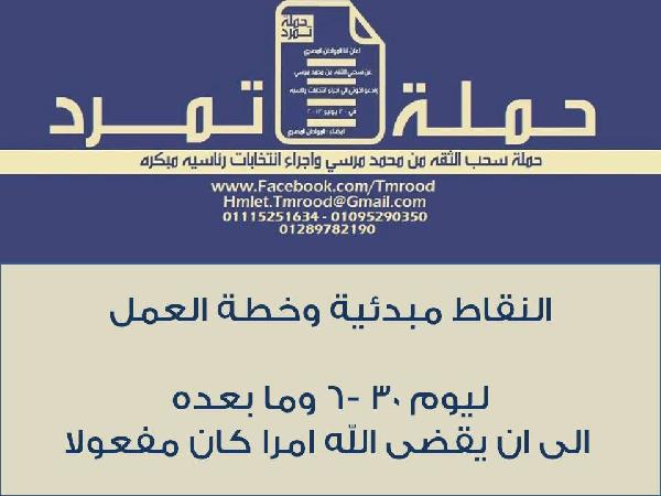 “تمرد” تعلن خطتها ليوم 30 يونيو