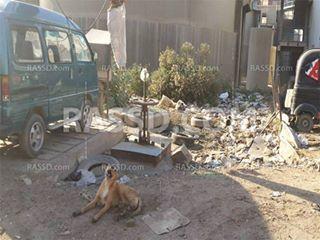 ديدان بمياه الشرب بالمرج والسلام.. والسبب “العَمرة”