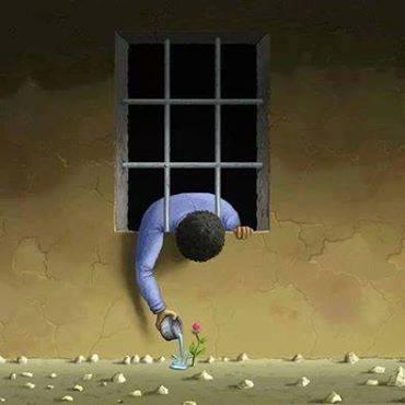 تظلم للمطالبة بالإفراج عن مؤسس مركز حقوقي