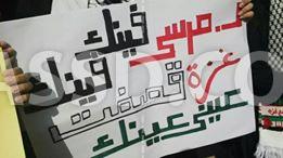 فعاليات احتجاجية بالدقهلية على غلاء الأسعار والعدوان على غزة