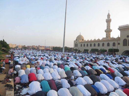 مسيرات ولافتات تهنئة في أول أيام العيد بالمنوفية والدقهلية والغربية