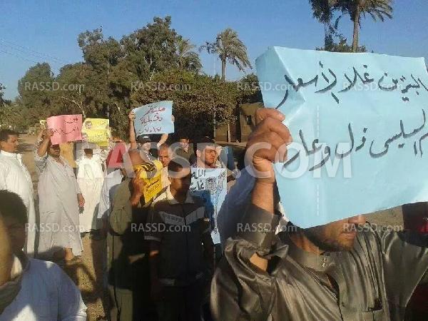 فعاليات مناهضة للانقلاب في “الدقهلية”