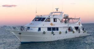 غرق 56 مصريا أثناء هجرة غير شرعية لإيطاليا