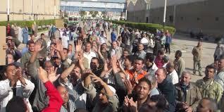 تجار التموين بكفر الشيخ يطالبون بصرف المقررات