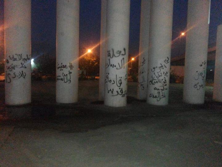 “مفيش”.. حملة للتنديد بالانقلاب وتضامنا مع غزة بطريق طلخا المحلة