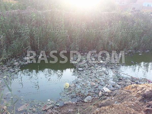 أهالى “العسيلة” و”اللطايفة” بالقليوبية يشكون من تلوث مصرف يمر بهم