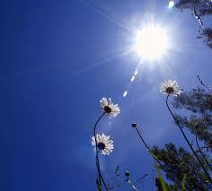 “الأرصاد”: غدًا طقس رطب على شمالًا شديد الحرارة جنوبًا