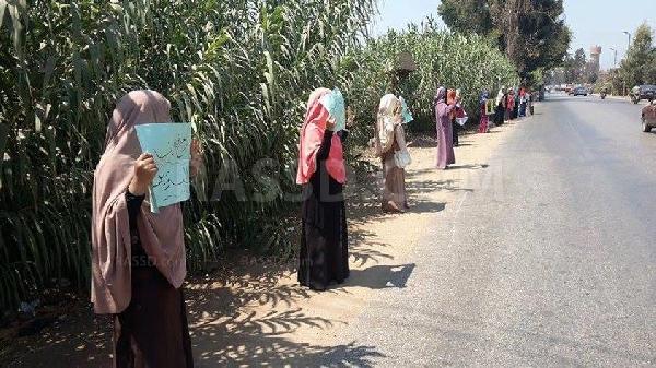 سلسله بشرية لمناهضي الانقلاب العسكري بالمنوفية