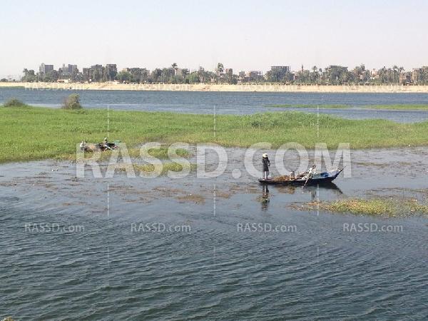 انتشار “ورد النيل” بسوهاج أزمة تواجه صيادي ومزارعي المحافظة