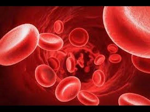 استشارى تغذية: 5 أسباب تؤدي إلى الإصابة بالأنيميا