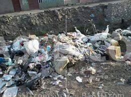 معاناة أهالي دكرنس والمنصورة من تراكم القمامة