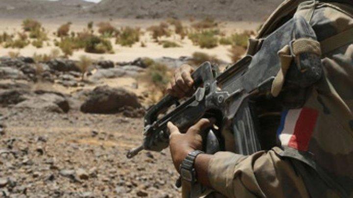 تقرير دولي: أراضي أفريقيا سوق عالمي للبيع والاستئجار