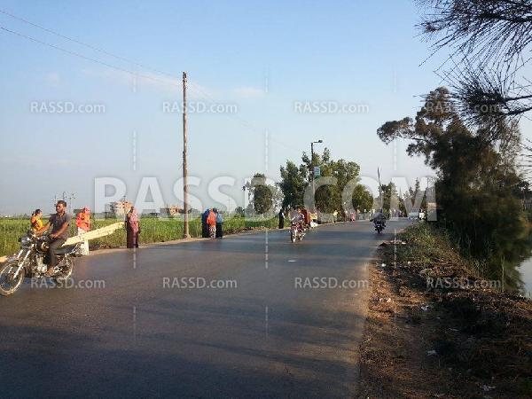 فعاليات مناهضة للانقلاب بدمياط