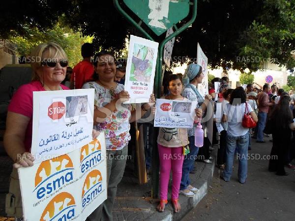 وقفة لأعضاء نادي الجزيرة تنديدًا بالمجازر ضد “القطط”